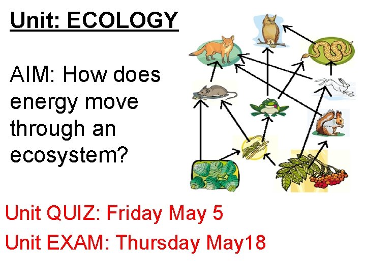 Unit: ECOLOGY AIM: How does energy move through an ecosystem? Unit QUIZ: Friday May Unit: ECOLOGY AIM: How does energy move through an ecosystem? Unit QUIZ: Friday May