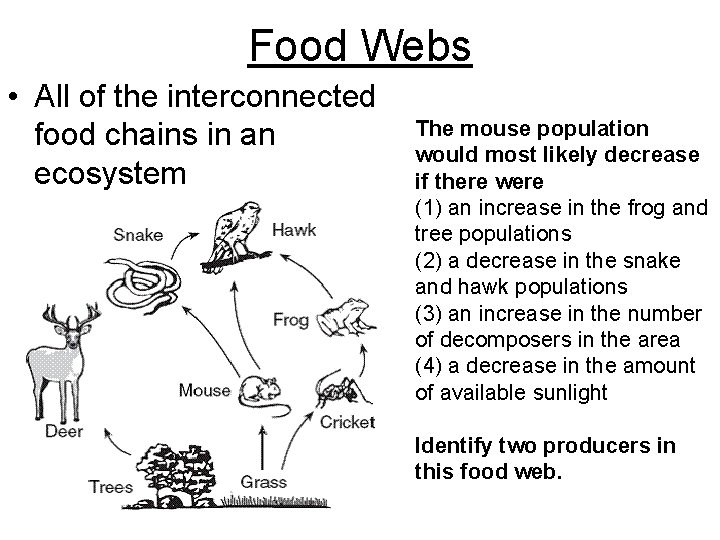 Food Webs • All of the interconnected food chains in an ecosystem The mouse Food Webs • All of the interconnected food chains in an ecosystem The mouse