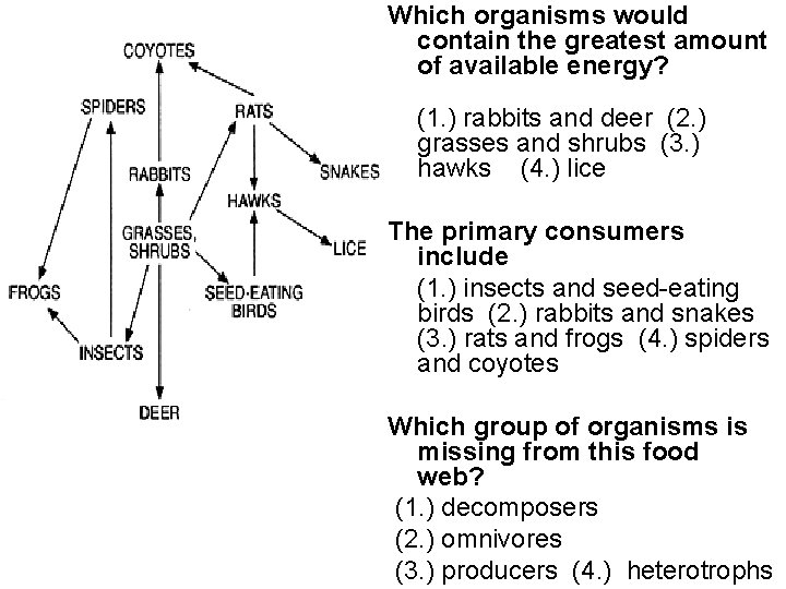 Which organisms would contain the greatest amount of available energy? (1. ) rabbits and Which organisms would contain the greatest amount of available energy? (1. ) rabbits and