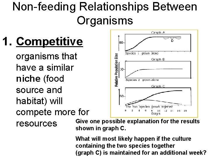 Non-feeding Relationships Between Organisms 1. Competitive organisms that have a similar niche (food source Non-feeding Relationships Between Organisms 1. Competitive organisms that have a similar niche (food source