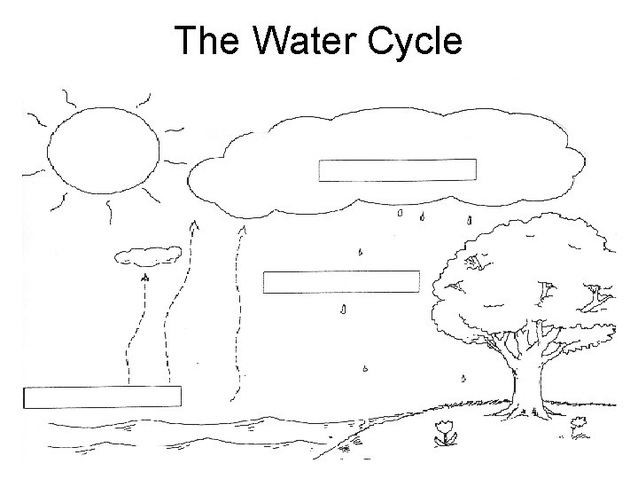 The Water Cycle The Water Cycle