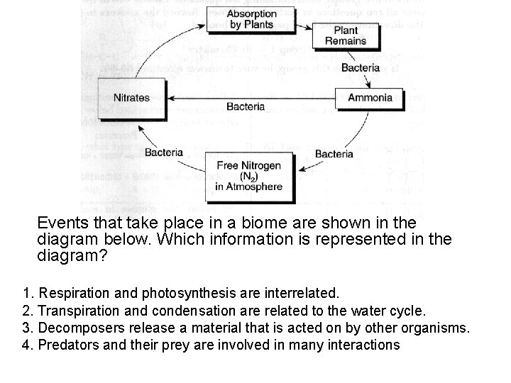Events that take place in a biome are shown in the diagram below. Which Events that take place in a biome are shown in the diagram below. Which