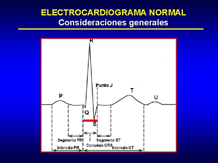 ELECTROCARDIOGRAMA NORMAL Consideraciones generales 