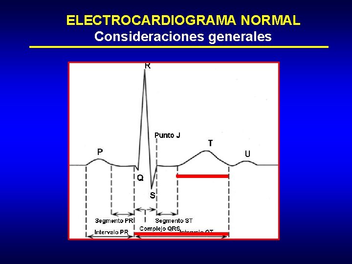 ELECTROCARDIOGRAMA NORMAL Consideraciones generales 