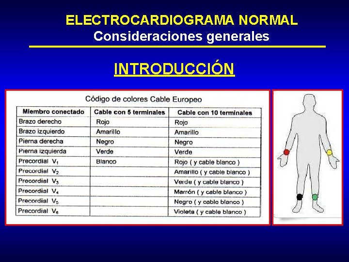 ELECTROCARDIOGRAMA NORMAL Consideraciones generales INTRODUCCIÓN 