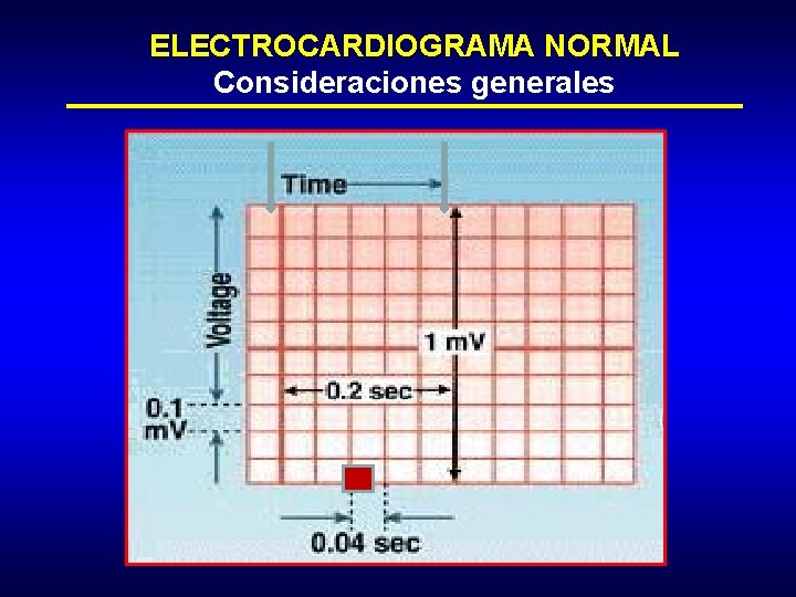 ELECTROCARDIOGRAMA NORMAL Consideraciones generales 