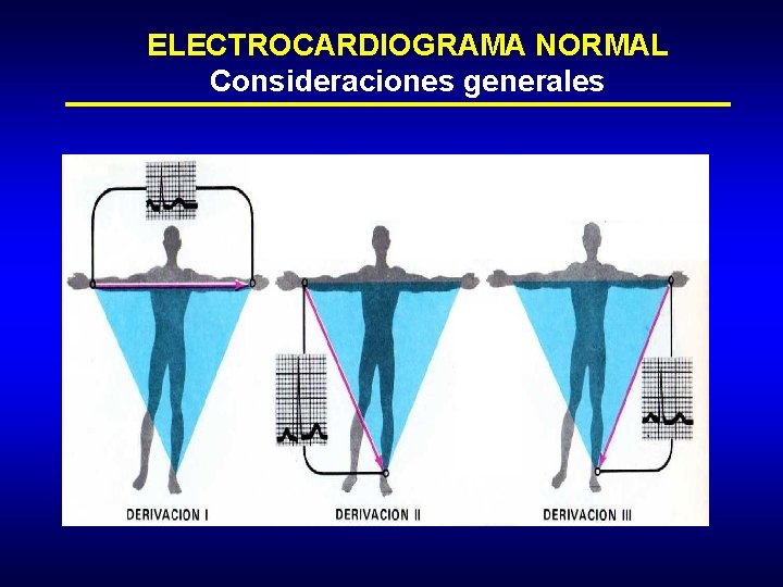 ELECTROCARDIOGRAMA NORMAL Consideraciones generales 