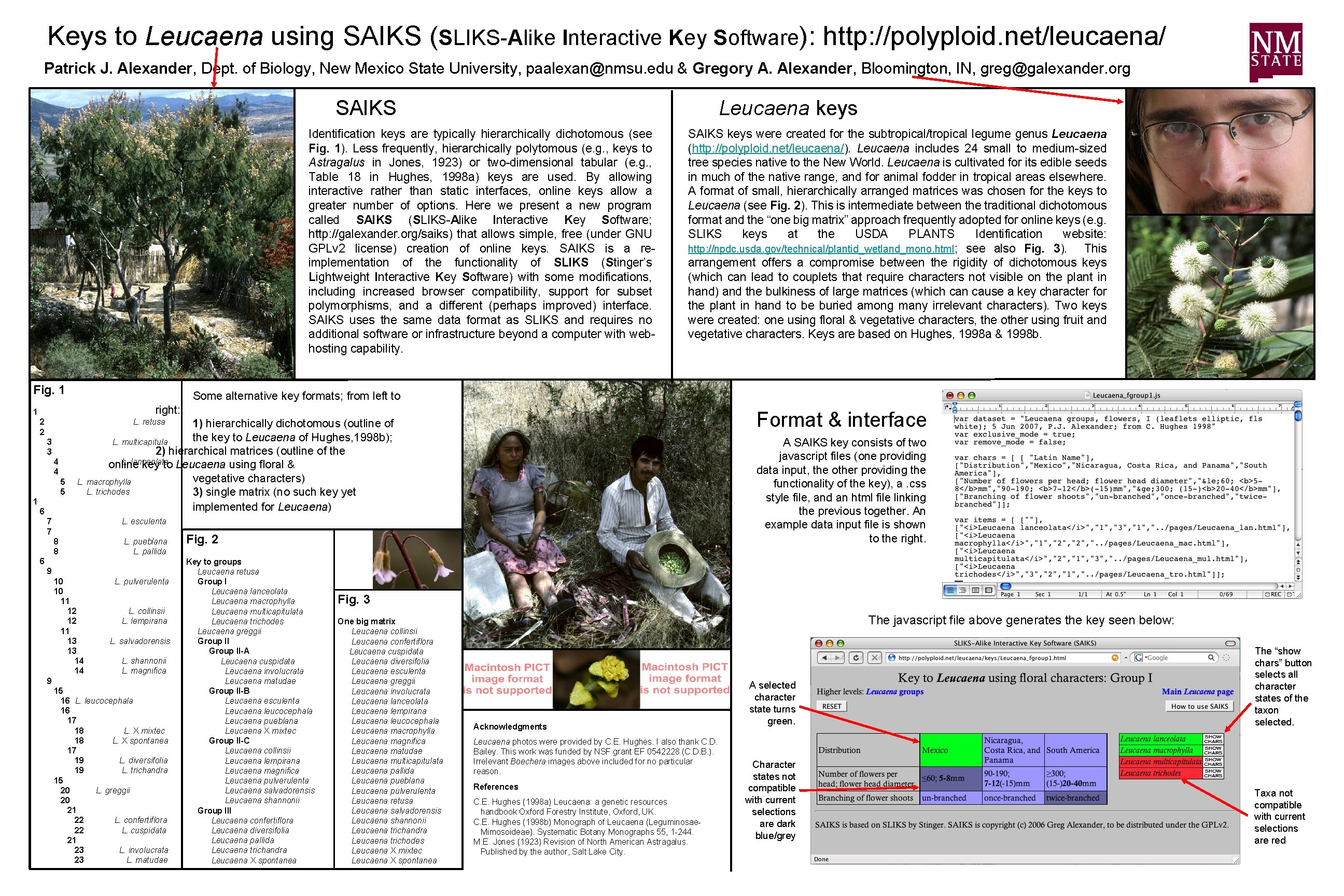 Keys to Leucaena using SAIKS (SLIKS-Alike Interactive Key Software): http: //polyploid. net/leucaena/ Patrick J.