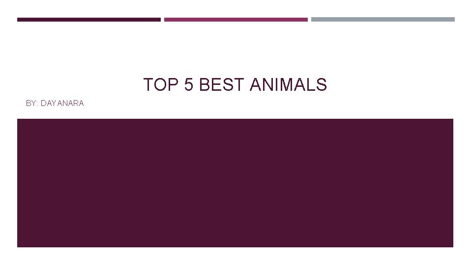 TOP 5 BEST ANIMALS BY: DAYANARA 