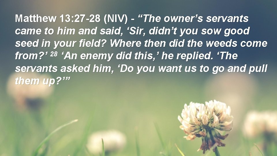 Matthew 13: 27 -28 (NIV) - “The owner’s servants came to him and said, Matthew 13: 27 -28 (NIV) - “The owner’s servants came to him and said,