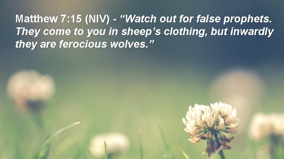 Matthew 7: 15 (NIV) - “Watch out for false prophets. They come to you Matthew 7: 15 (NIV) - “Watch out for false prophets. They come to you