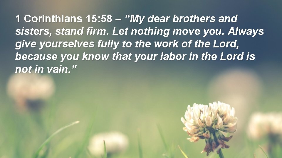 1 Corinthians 15: 58 – “My dear brothers and sisters, stand firm. Let nothing 1 Corinthians 15: 58 – “My dear brothers and sisters, stand firm. Let nothing