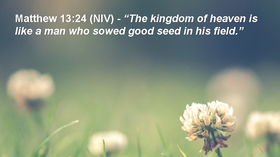 Matthew 13: 24 (NIV) - “The kingdom of heaven is like a man who Matthew 13: 24 (NIV) - “The kingdom of heaven is like a man who