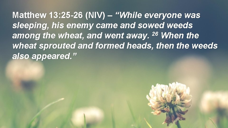 Matthew 13: 25 -26 (NIV) – “While everyone was sleeping, his enemy came and Matthew 13: 25 -26 (NIV) – “While everyone was sleeping, his enemy came and