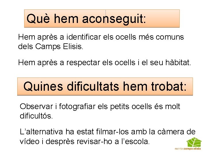 Què hem aconseguit: Hem après a identificar els ocells més comuns dels Camps Elisis.