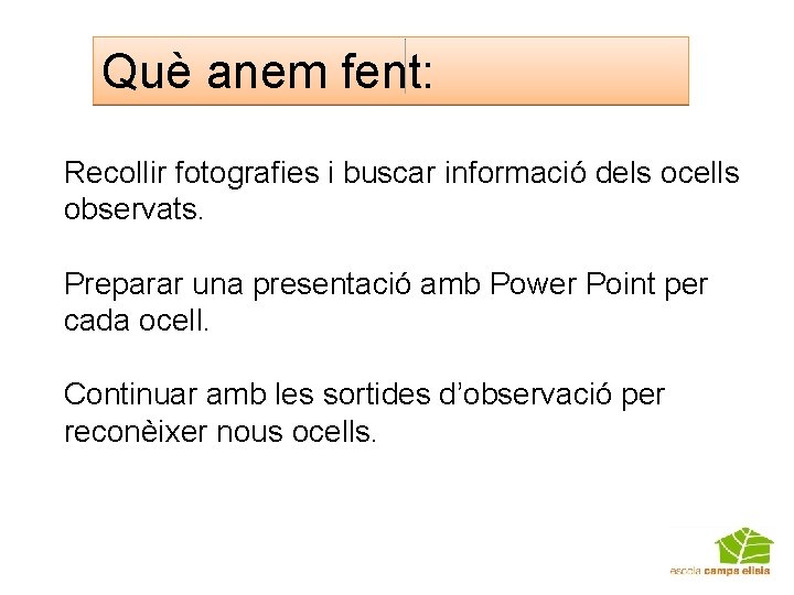 Què anem fent: Recollir fotografies i buscar informació dels ocells observats. Preparar una presentació