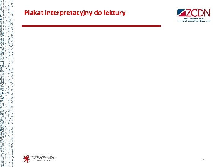 Plakat interpretacyjny do lektury 43 