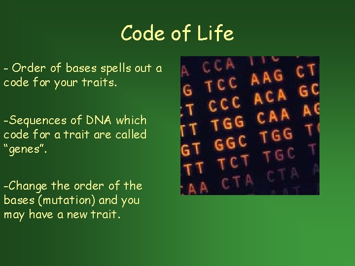 Code of Life - Order of bases spells out a code for your traits.