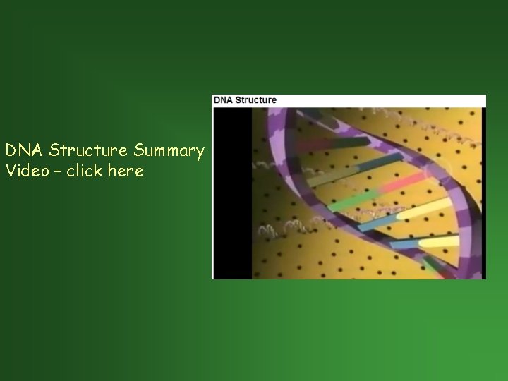 DNA Structure Summary Video – click here 