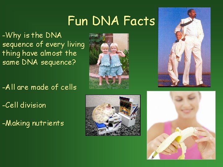Fun DNA Facts -Why is the DNA sequence of every living thing have almost