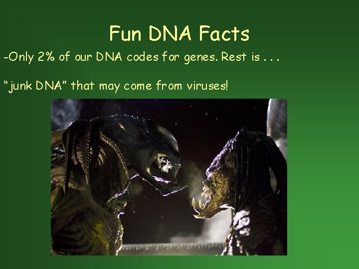 Fun DNA Facts -Only 2% of our DNA codes for genes. Rest is. .