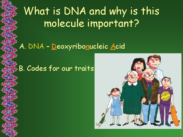 What is DNA and why is this molecule important? A. DNA – Deoxyribonucleic Acid