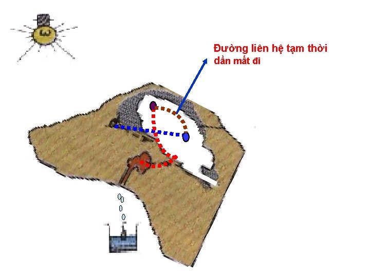 Đường liên hệ tạm thời dần mất đi 