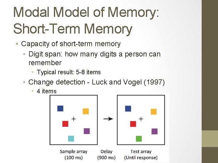 Modal Model of Memory: Short-Term Memory • Capacity of short-term memory • Digit span: