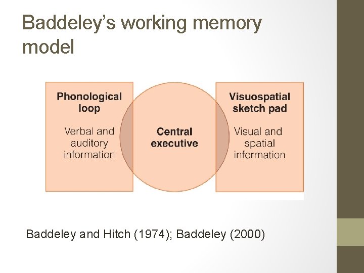 Baddeley’s working memory model Baddeley and Hitch (1974); Baddeley (2000) 