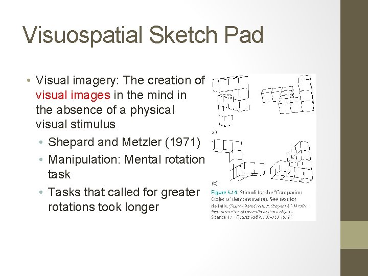 Visuospatial Sketch Pad • Visual imagery: The creation of visual images in the mind
