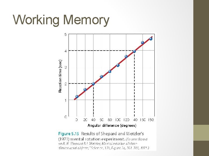 Working Memory 