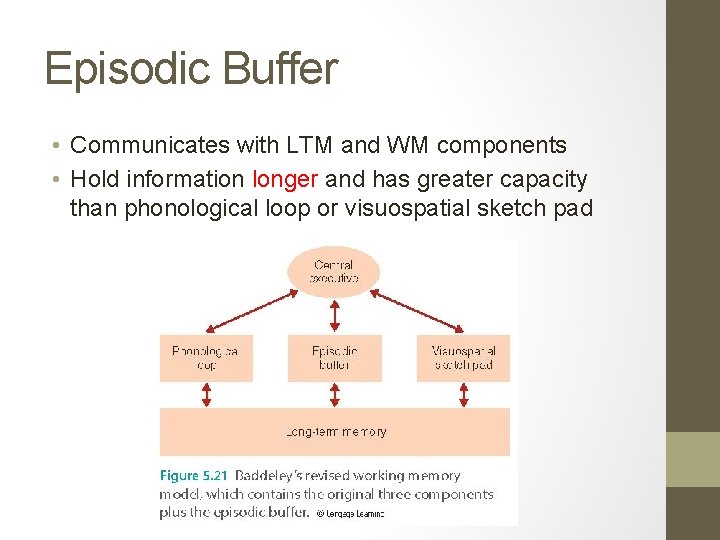 Episodic Buffer • Communicates with LTM and WM components • Hold information longer and