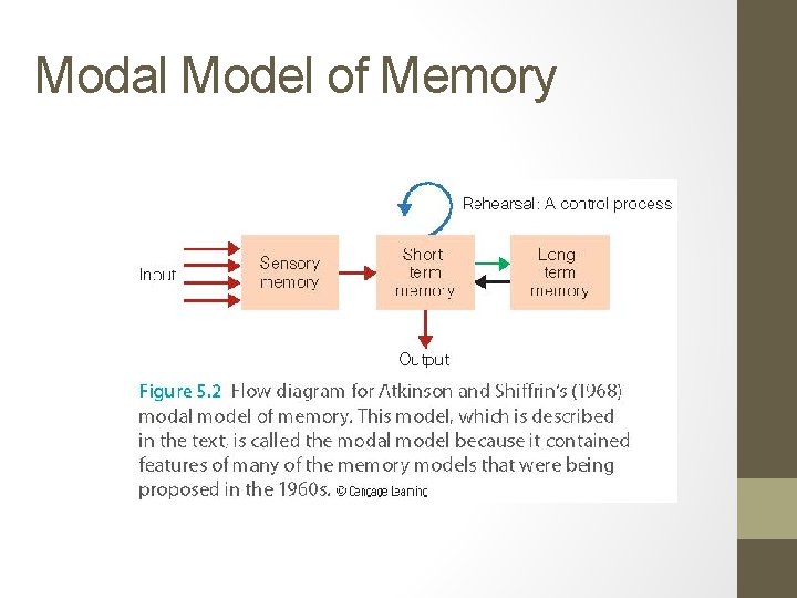 Modal Model of Memory 