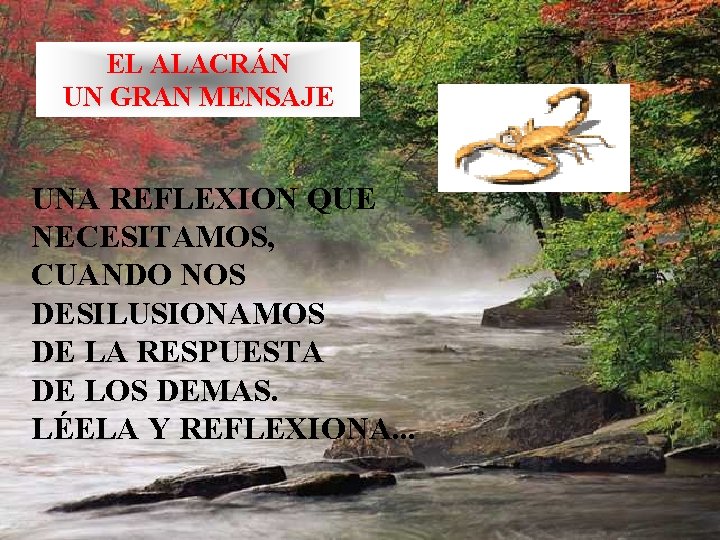 EL ALACRÁN UN GRAN MENSAJE UNA REFLEXION QUE NECESITAMOS, CUANDO NOS DESILUSIONAMOS DE LA