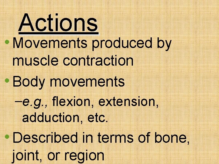 Actions • Movements produced by muscle contraction • Body movements –e. g. , flexion,