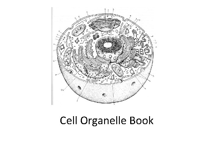 Cell Organelle Book 