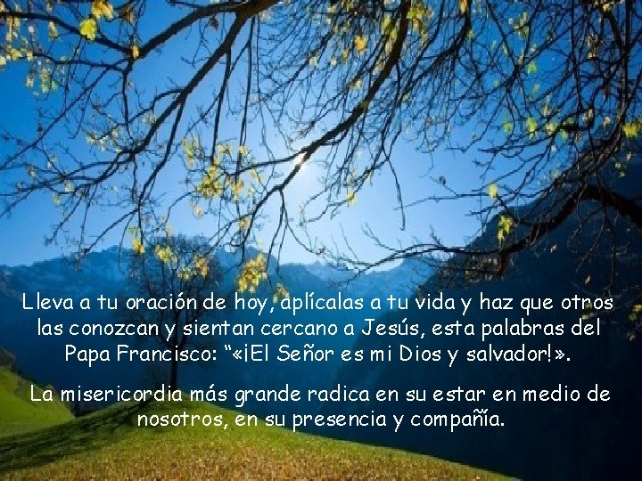 Lleva a tu oración de hoy, aplícalas a tu vida y haz que otros