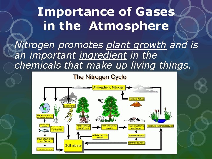 Importance of Gases in the Atmosphere Nitrogen promotes plant growth and is an important Importance of Gases in the Atmosphere Nitrogen promotes plant growth and is an important