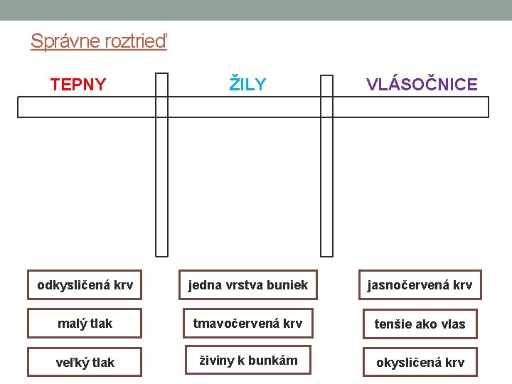 Správne roztrieď TEPNY ŽILY VLÁSOČNICE odkysličená krv jedna vrstva buniek jasnočervená krv malý tlak