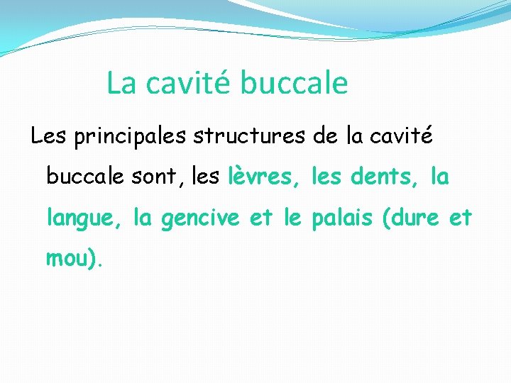 La cavité buccale Les principales structures de la cavité buccale sont, les lèvres, les