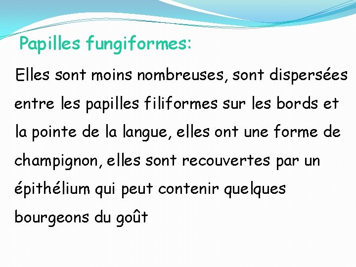 Papilles fungiformes: Elles sont moins nombreuses, sont dispersées entre les papilles filiformes sur les