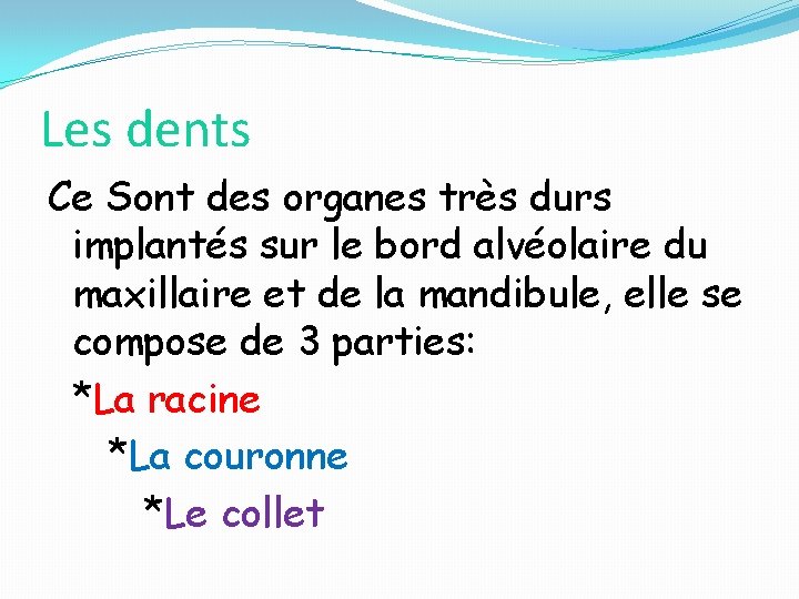 Les dents Ce Sont des organes très durs implantés sur le bord alvéolaire du