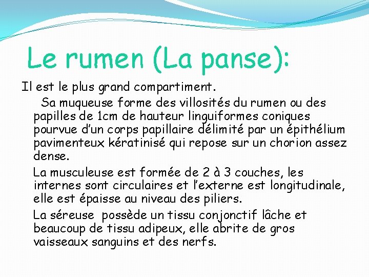 Le rumen (La panse): Il est le plus grand compartiment. Sa muqueuse forme des