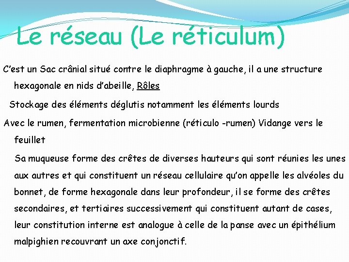 Le réseau (Le réticulum) C’est un Sac crânial situé contre le diaphragme à gauche,