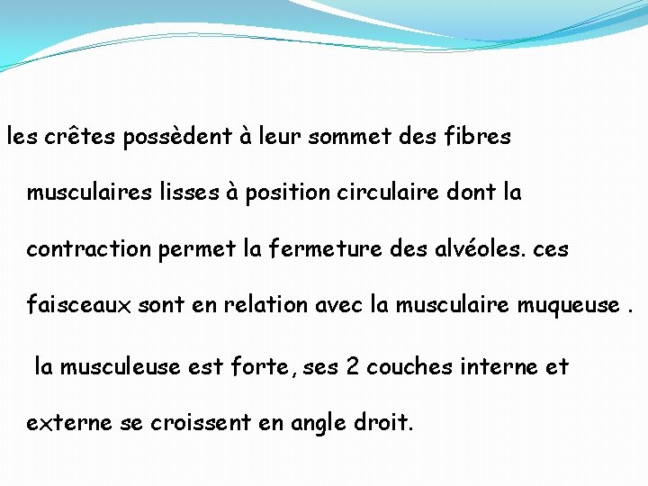 les crêtes possèdent à leur sommet des fibres musculaires lisses à position circulaire dont