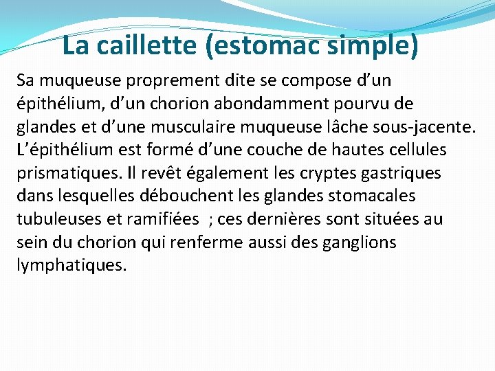 La caillette (estomac simple) Sa muqueuse proprement dite se compose d’un épithélium, d’un chorion