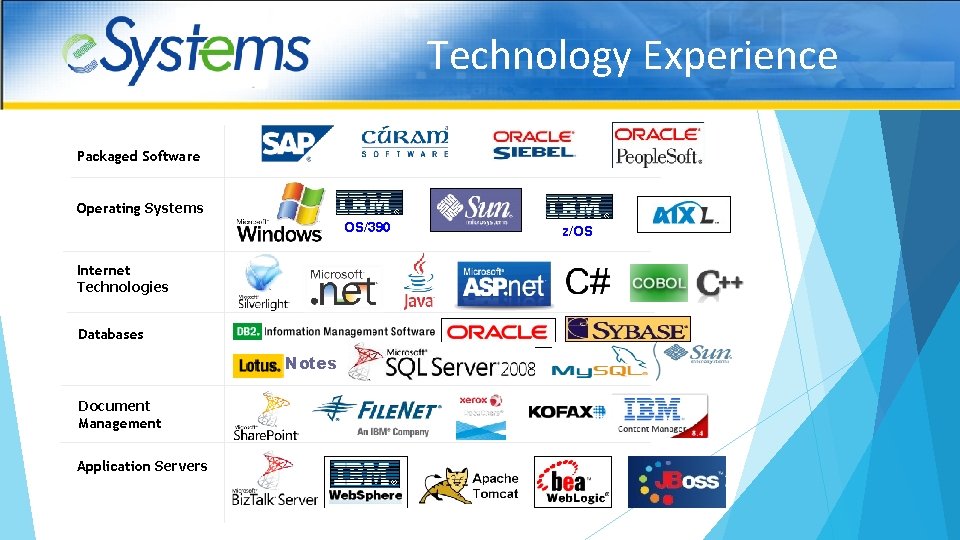 Technology Experience Packaged Software Operating Systems OS/390 Internet Technologies Databases Notes Document Management Application