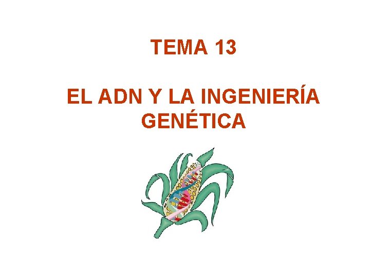 TEMA 13 EL ADN Y LA INGENIERÍA GENÉTICA 