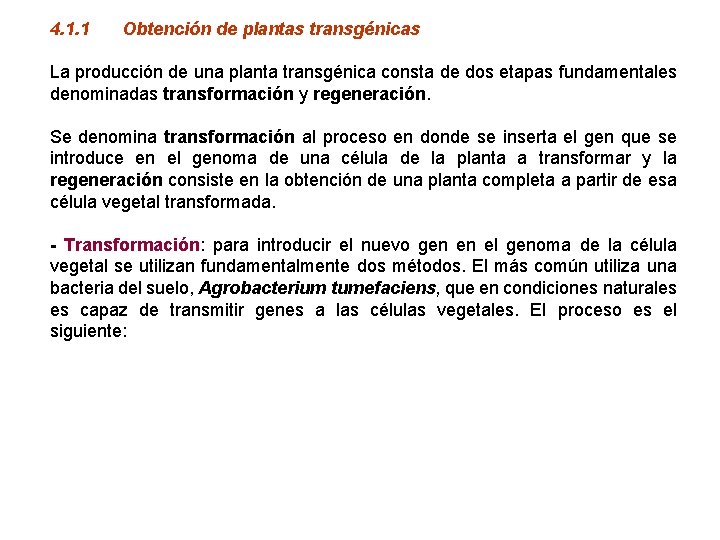 4. 1. 1 Obtención de plantas transgénicas La producción de una planta transgénica consta