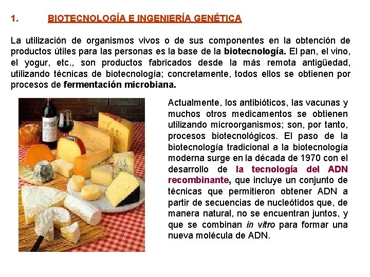 1. BIOTECNOLOGÍA E INGENIERÍA GENÉTICA La utilización de organismos vivos o de sus componentes